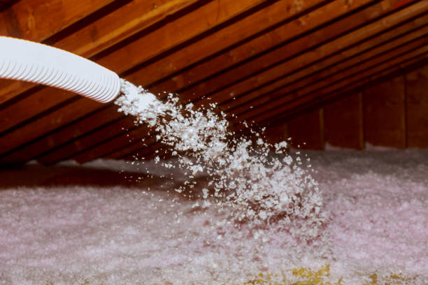 Best Geographic-Specific Insulation Services in Dexter, MI