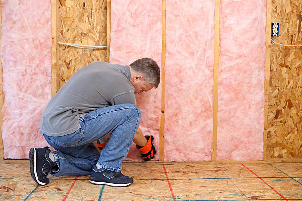 Best Fiberglass Insulation in Dexter, MI